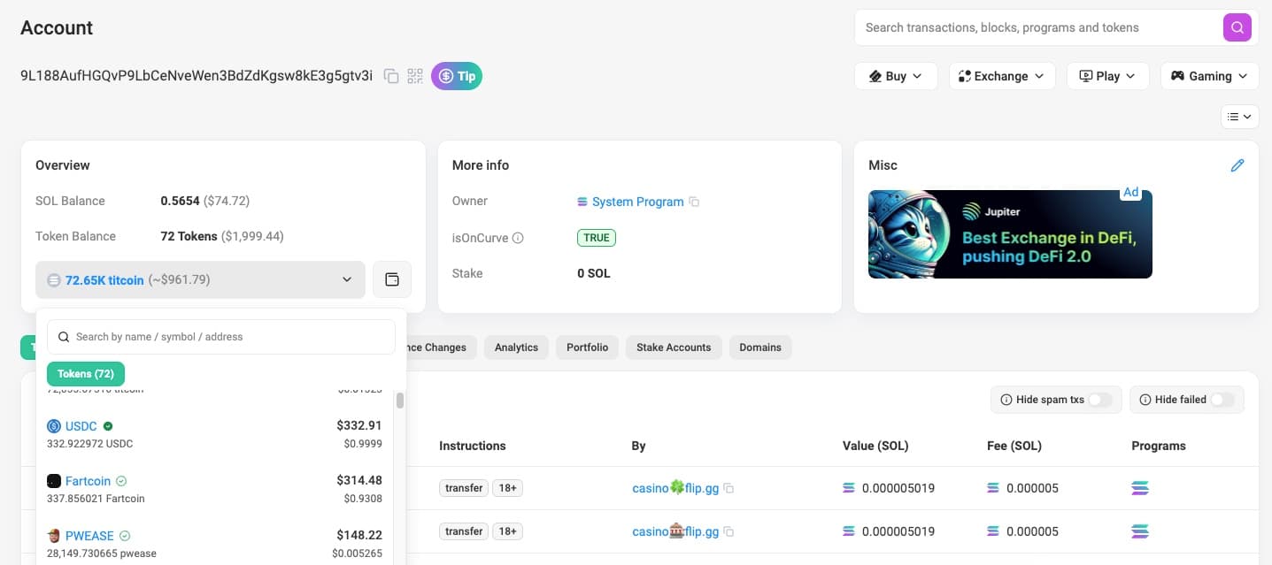 Solscan Public Address