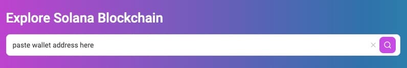 How to view a wallet on Solscan
